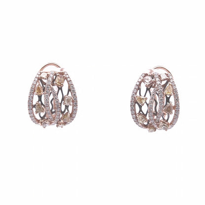 2.82ct Fancy Diamond Earrings in YG